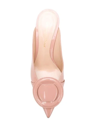 Shop Gianvito Rossi Buckle Embellished Pointed Mules In Pink
