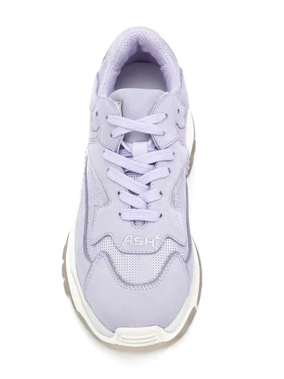 Shop Ash Addict Sneakers In Purple