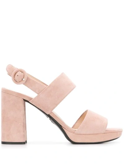 Shop Prada Chunky Heel Sandals In Pink