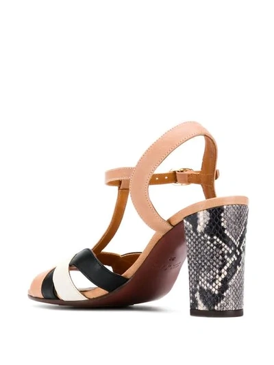 Shop Chie Mihara Beirun Sandals In Brown