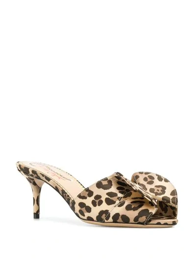 Shop Charlotte Olympia Leopard Print Mules - Brown
