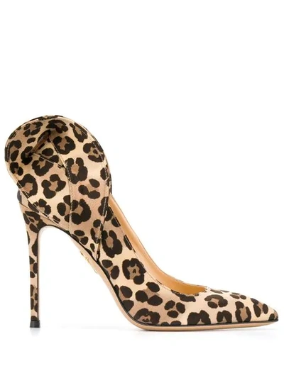 Shop Charlotte Olympia Blake Leopard Pumps In Brown