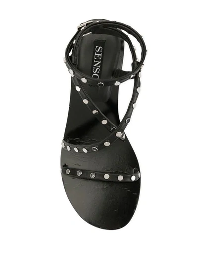 Shop Senso Lani Sandals In Black