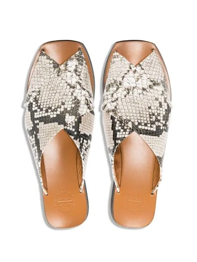 Shop Atp Atelier Snake Print Crossover Sandals In Grey