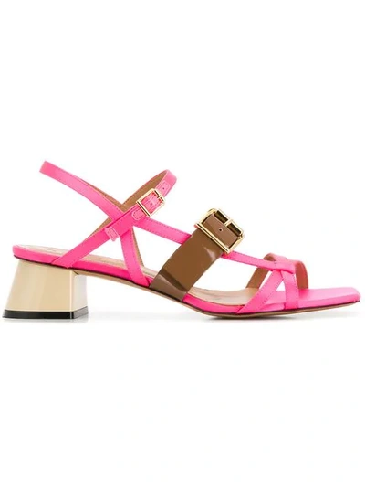 Shop Marni Buckled Strappy Sandals In Pink
