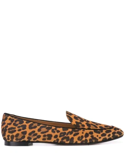 Shop Aquazzura Leopard Print Flat Loafers