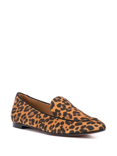 Shop Aquazzura Leopard Print Flat Loafers