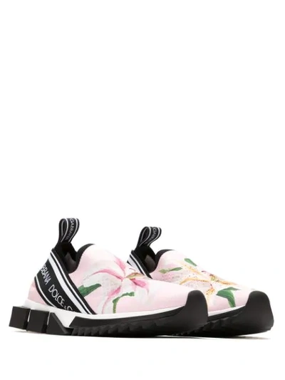 Shop Dolce & Gabbana Sorrento Lily-print Sneakers In Pink