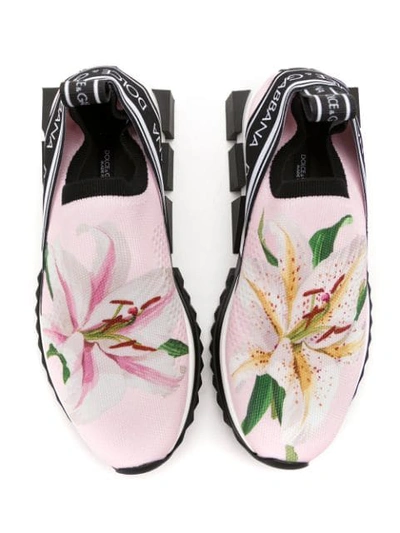 Shop Dolce & Gabbana Sorrento Lily-print Sneakers In Pink