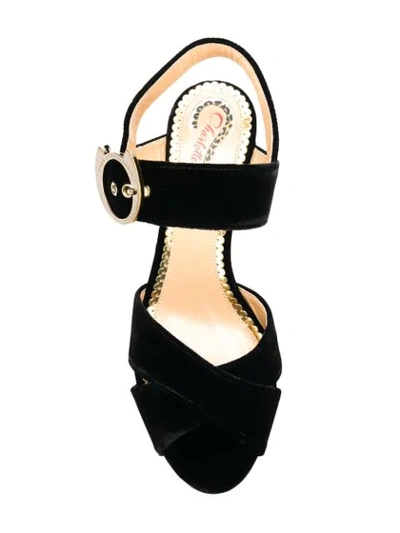 Shop Charlotte Olympia Buckle Sandals In Black