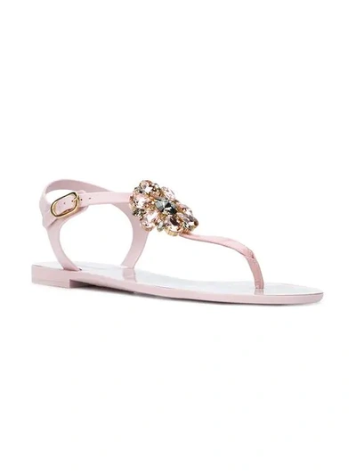 Shop Dolce & Gabbana Embellished Thong Strap Sandals In Pink