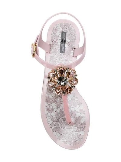 Shop Dolce & Gabbana Embellished Thong Strap Sandals In Pink