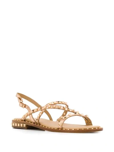 Shop Ash Studded Buckle Sandals In Gold