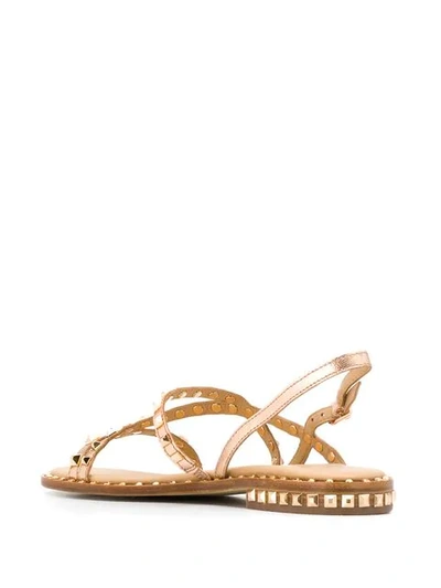 Shop Ash Studded Buckle Sandals In Gold