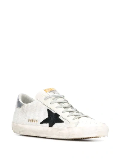 Shop Golden Goose Superstar Sneakers In White Cord-silver Lurex