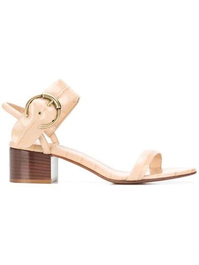 Shop Chloé Roy Sandals In Neutrals