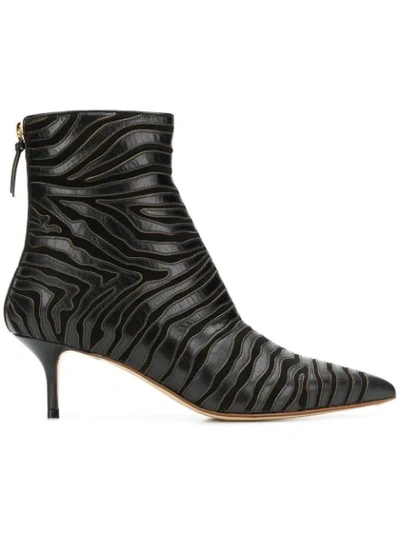 Shop Francesco Russo Zebra Ankle Boots In Black