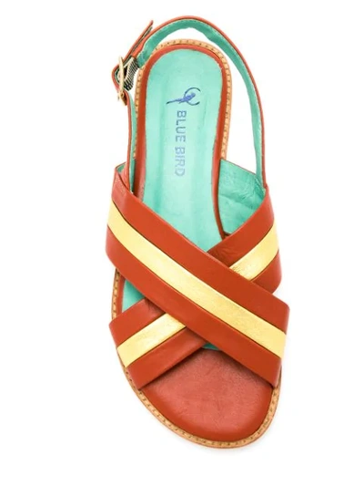 Shop Blue Bird Shoes Leather Paula Sandals In Yellow
