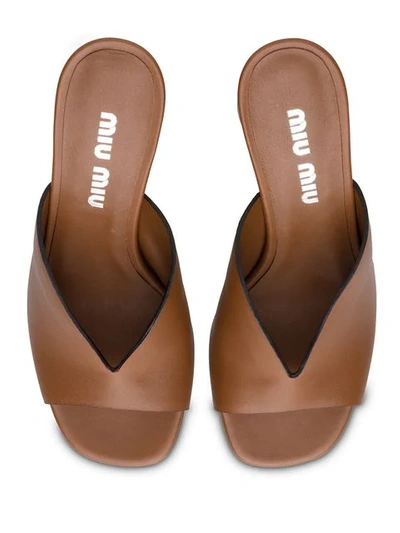 Shop Miu Miu Chunky Heel Mules In Brown