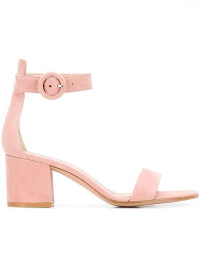 Shop Gianvito Rossi Versilia 60 Sandals In Pink
