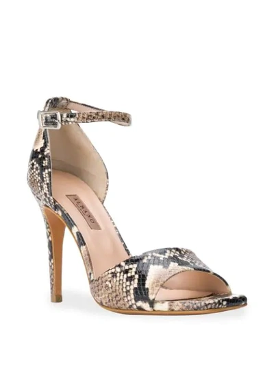 Shop Albano Snakeskin Print Sandals - Neutrals