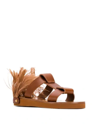Shop Valentino Feather-detail Flat Sandals In Brown
