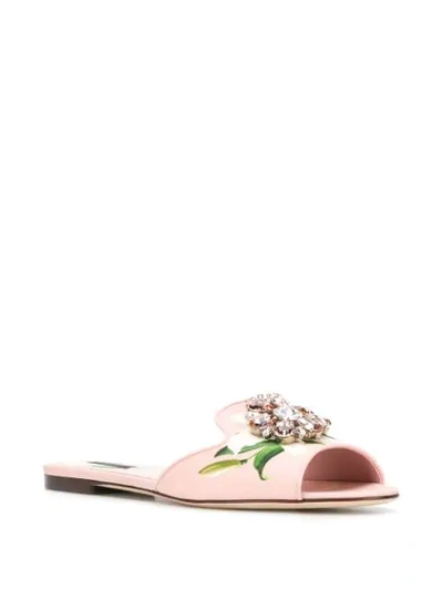 Shop Dolce & Gabbana Lily Crystal Embellished Sandals In Pink