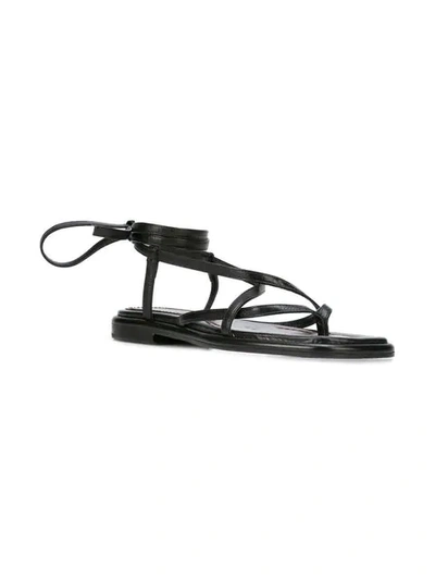 Shop Proenza Schouler Strappy Flat Sandals In Black
