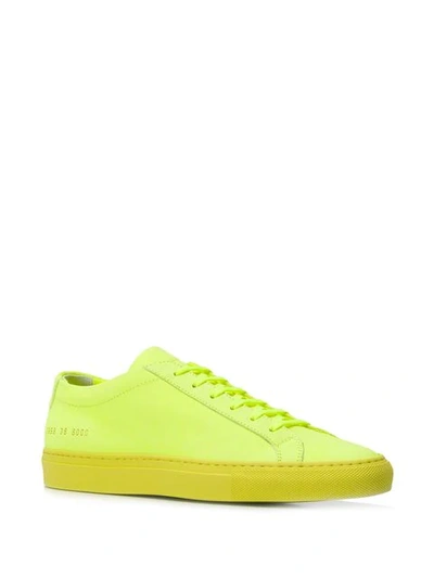 Shop Common Projects Achilles Low Sneakers In Green