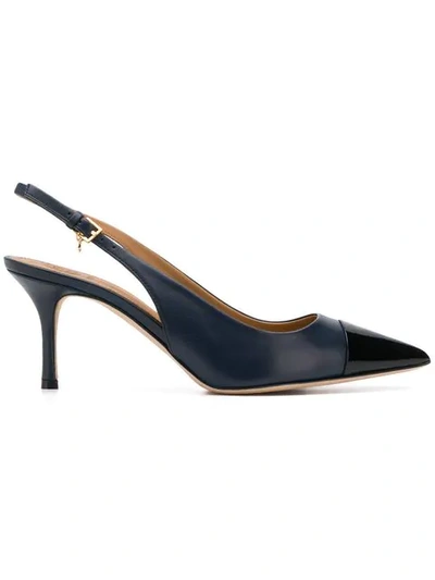 Shop Tory Burch Penelope Cap Toe Slingback Pumps In Blue