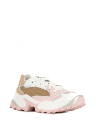 Shop Sergio Rossi Sergio Extreme Sneakers In Pink
