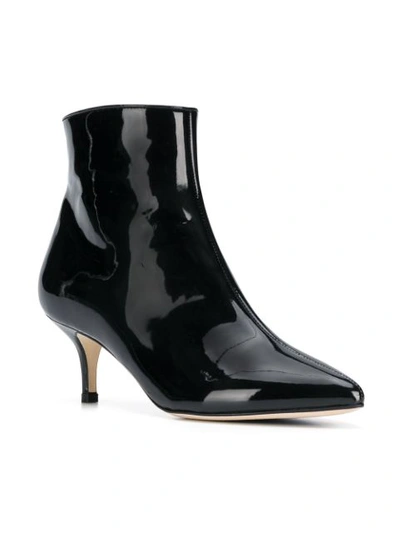 Polly Plume Ankle Boots In Black