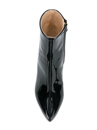 Polly Plume Ankle Boots In Black