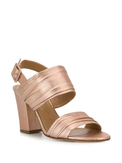 Shop Antonio Barbato Ankle Strap Sandals In Pink
