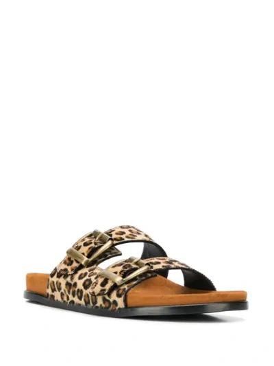 AVEC MODÉRATION LEOPARD BUCKLED STRAP SLIDES - 棕色