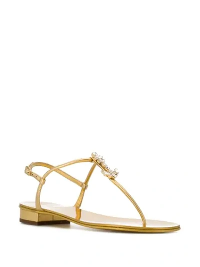 Shop Giuseppe Zanotti Deborah Flat Sandals In Gold