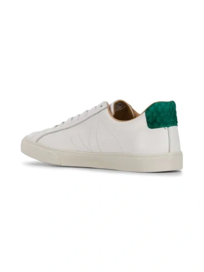 Shop Veja Tilapia Sneakers In White