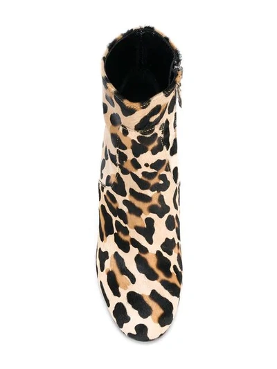 Shop P.a.r.o.s.h Leopard Print Ankle Boots In Neutrals