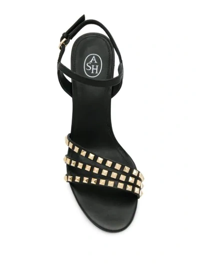 Shop Ash Hello Sandals In Black