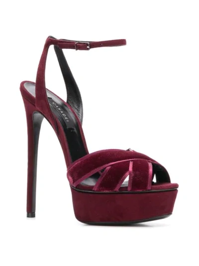 Shop Casadei Crossover Strap Sandals In Red