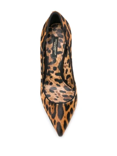 Shop Dolce & Gabbana Leopard Print Pumps - Brown