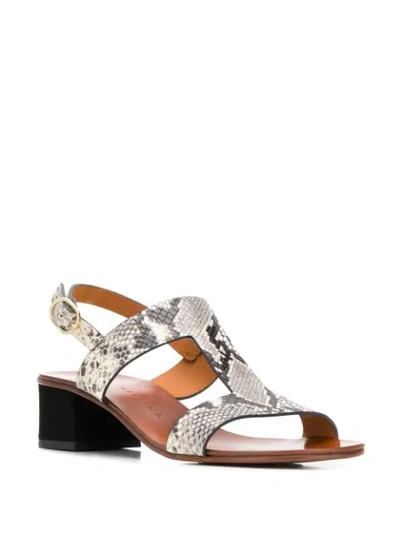 Shop Chie Mihara Open Toe Sandals - Grey
