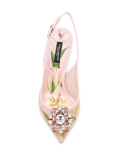 Shop Dolce & Gabbana Embellished Pumps In Hfkk8 Gigli Fdo Rosa