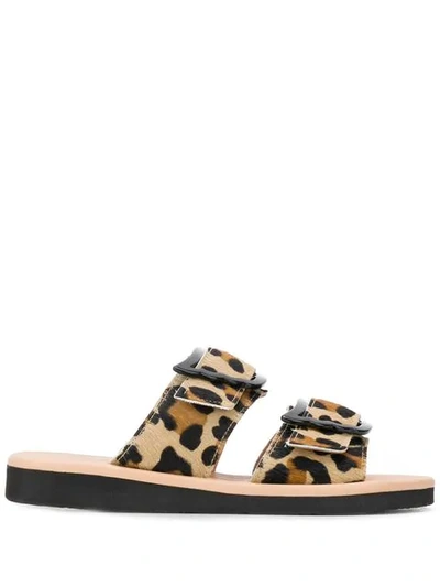 Shop Ancient Greek Sandals Leopard Print Sandals In Black