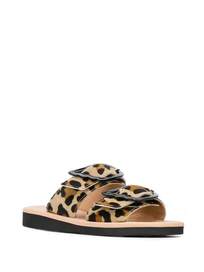 Shop Ancient Greek Sandals Leopard Print Sandals In Black