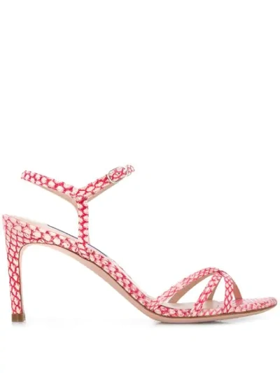 Shop Stuart Weitzman Starla Sandals In Pink
