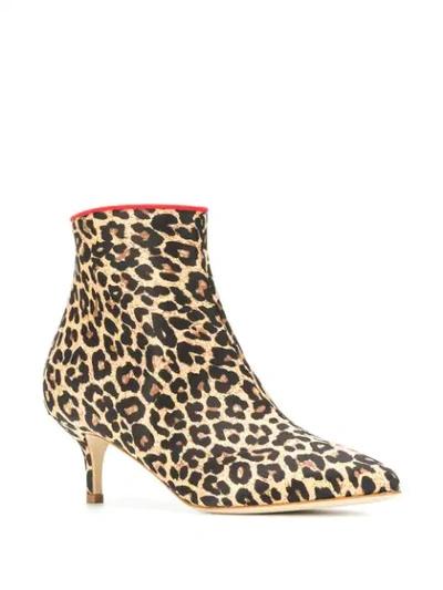 Shop Polly Plume Janis Leopard Print Ankle Boots In Neutrals