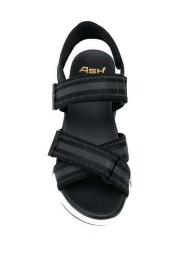 Shop Ash Lewis Sandals In Black