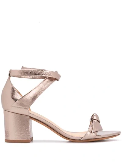 Shop Alexandre Birman Block Heel Sandals In Gold