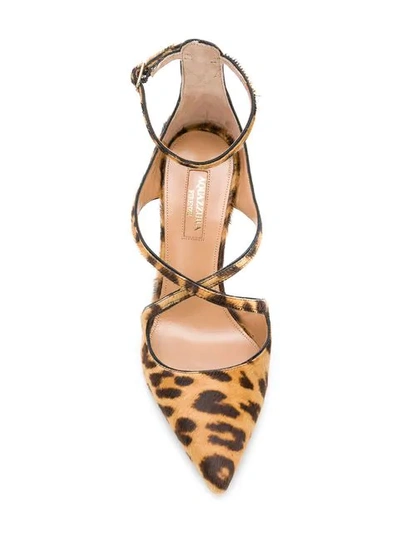 Shop Aquazzura Leopard Print Pumps In C8l Caramel Leopard